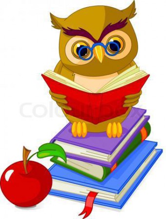 O que é ensino fundamental ?